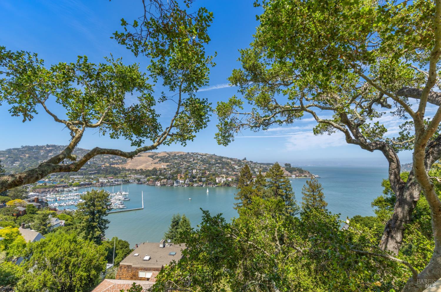 Detail Gallery Image 58 of 83 For 308 Golden Gate Ave, Belvedere,  CA 94920 - 8 Beds | 7/2 Baths