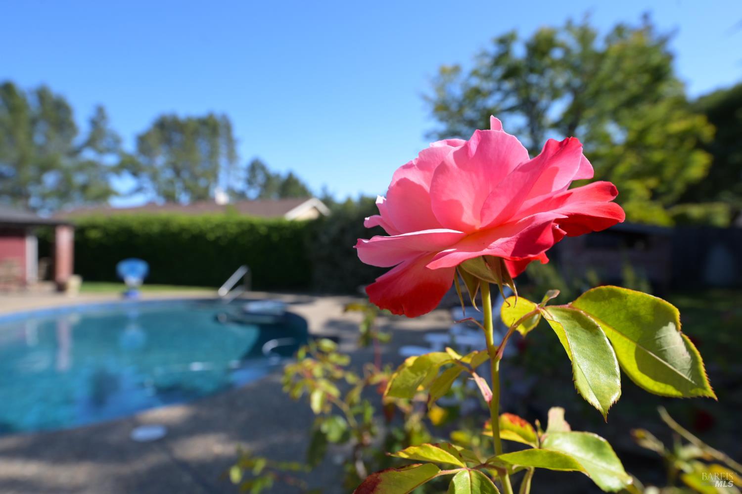 Detail Gallery Image 13 of 28 For 17 Mosswood Ct, Novato,  CA 94947 - 4 Beds | 2 Baths