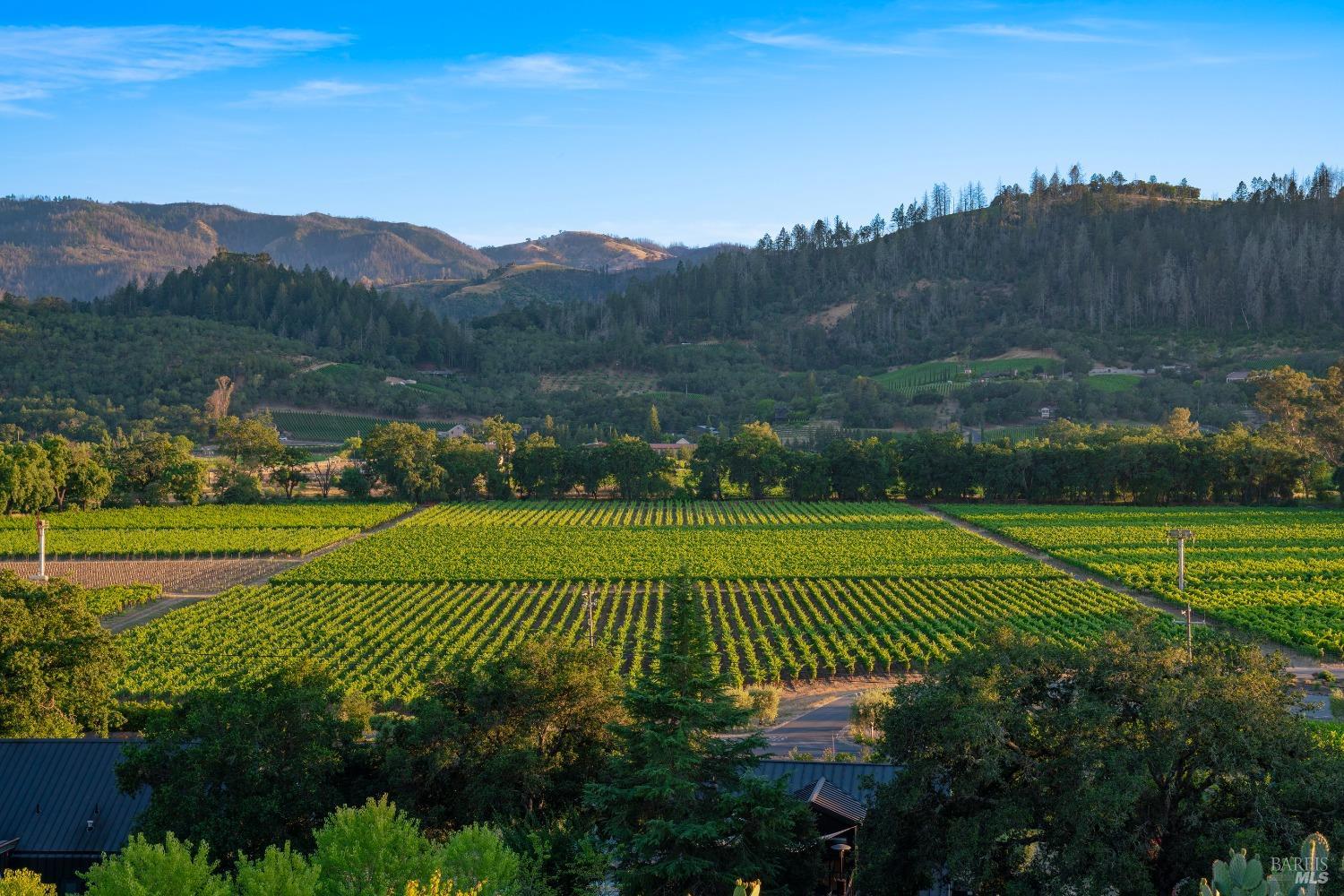 Detail Gallery Image 1 of 1 For 2930 Silverado Trl, Saint Helena,  CA 94574 - 4 Beds | 3/2 Baths