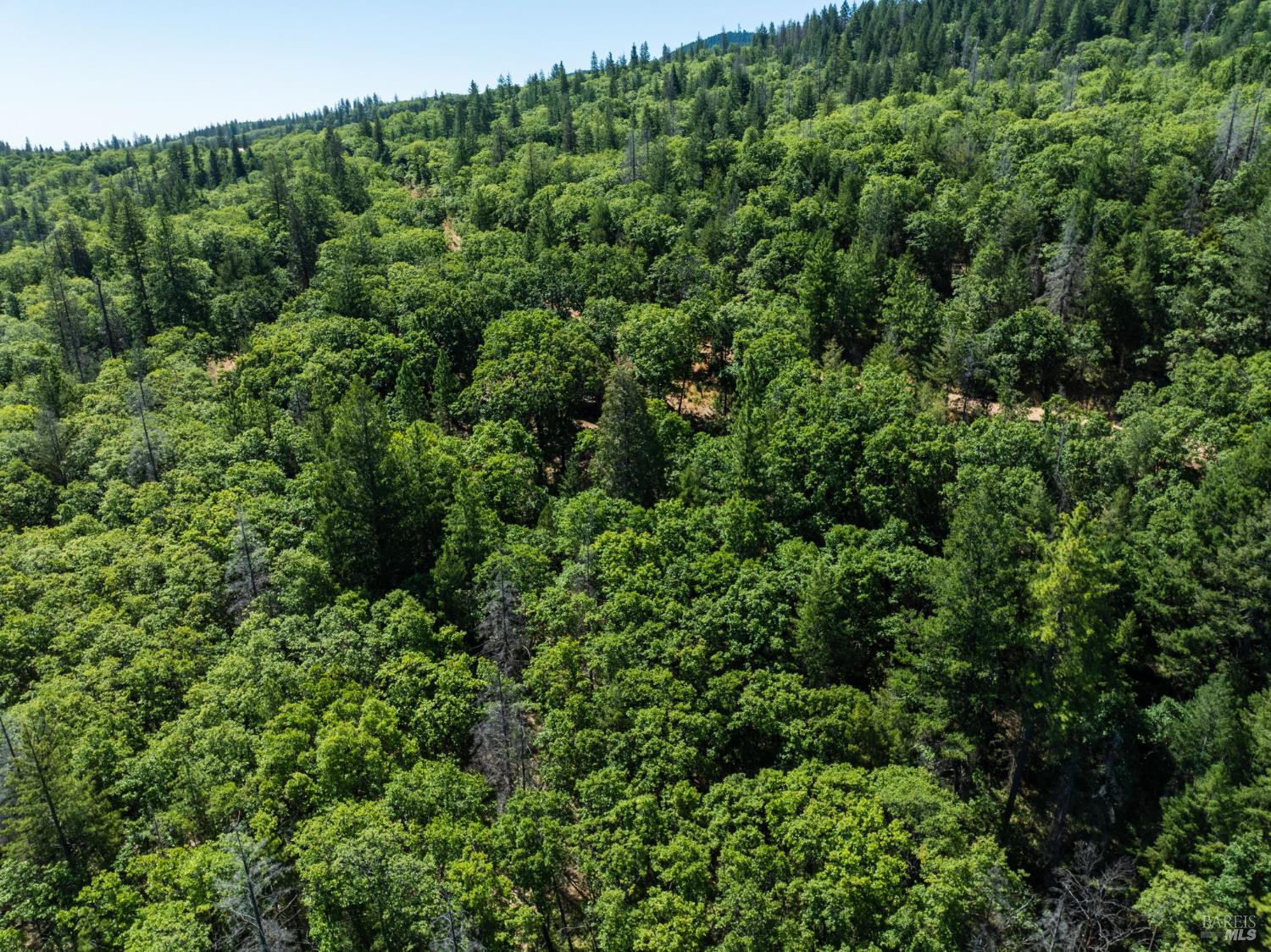Seigler Springs North Road, Kelseyville, California image 32