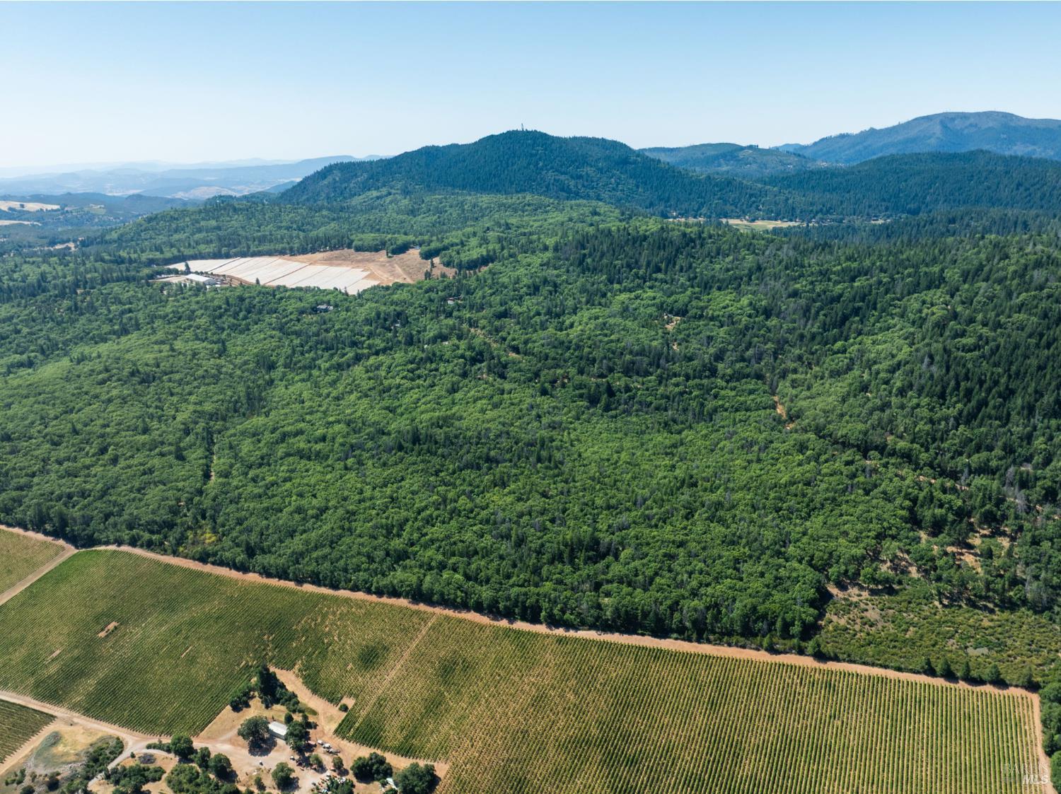 Seigler Springs North Road, Kelseyville, California image 4