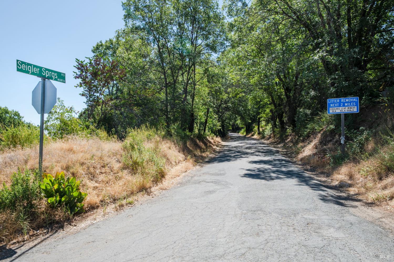 Seigler Springs North Road, Kelseyville, California image 44