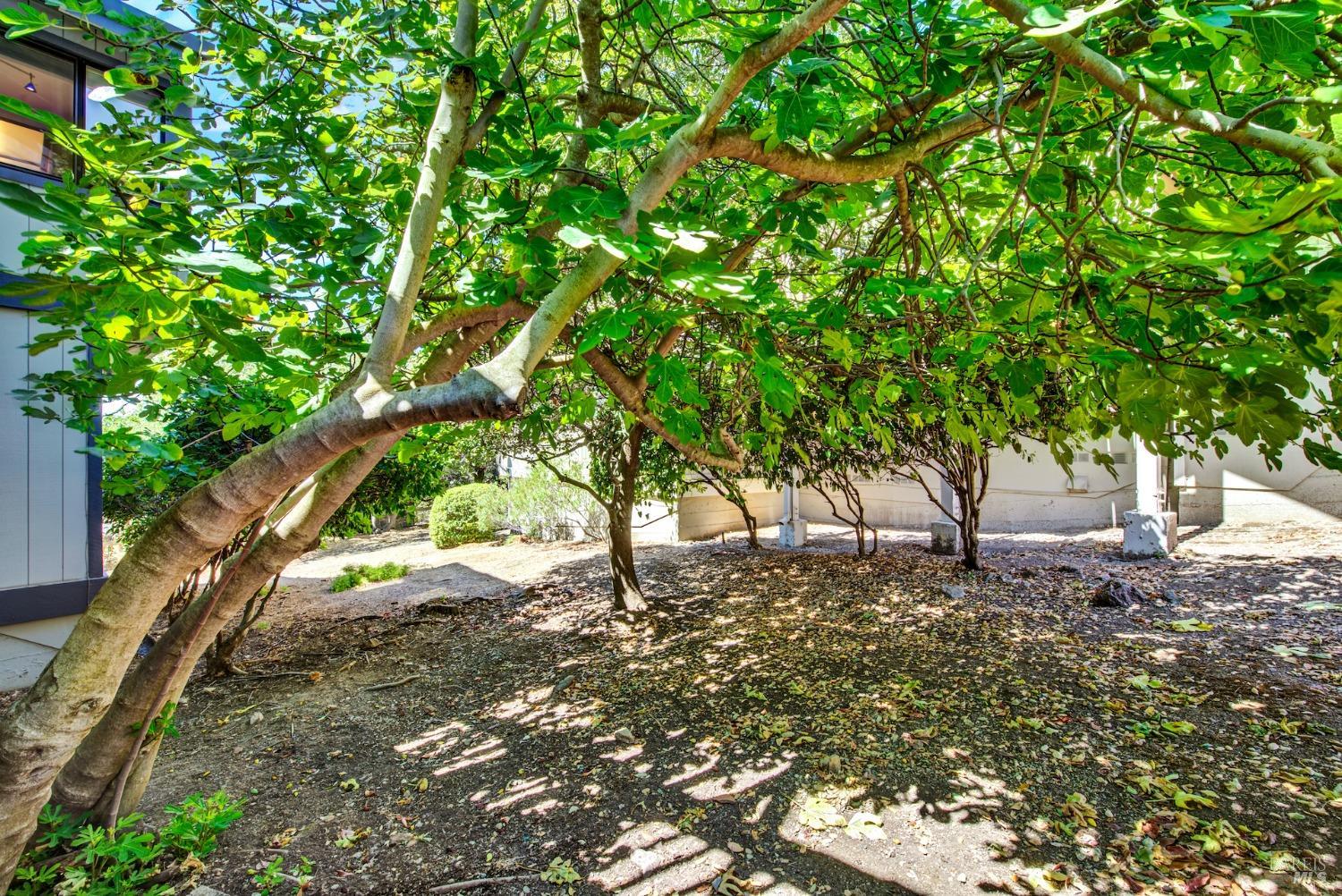 Detail Gallery Image 69 of 76 For 25 Knoll Dr, Fairfield,  CA 94534 - 3 Beds | 2/1 Baths