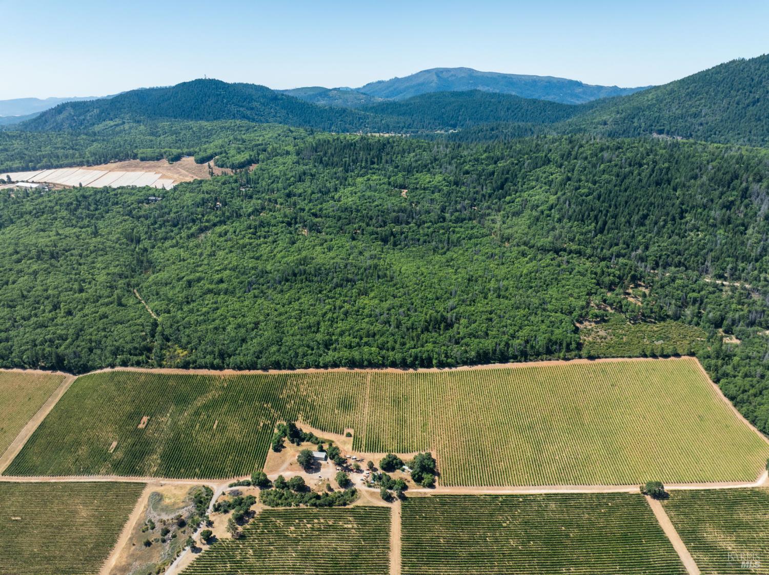 Seigler Springs North Road, Kelseyville, California image 13