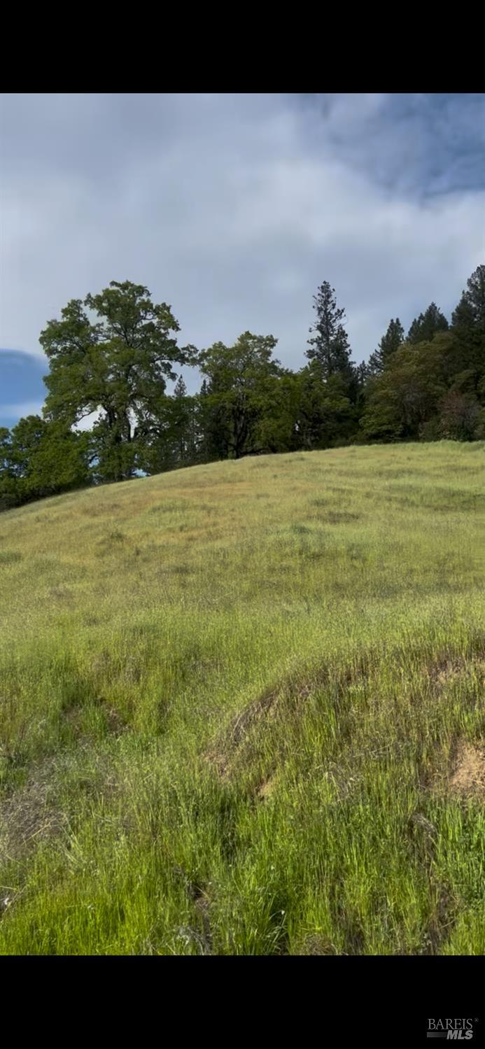 Detail Gallery Image 10 of 19 For 34290 Mendocino Pass Rd, Covelo,  CA 95428 - – Beds | – Baths