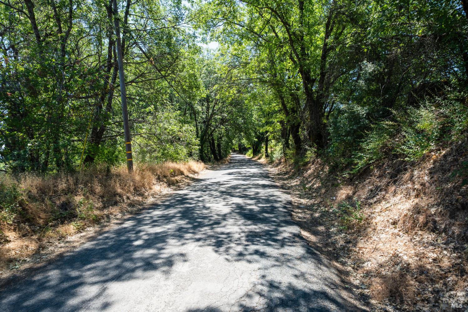Seigler Springs North Road, Kelseyville, California image 46