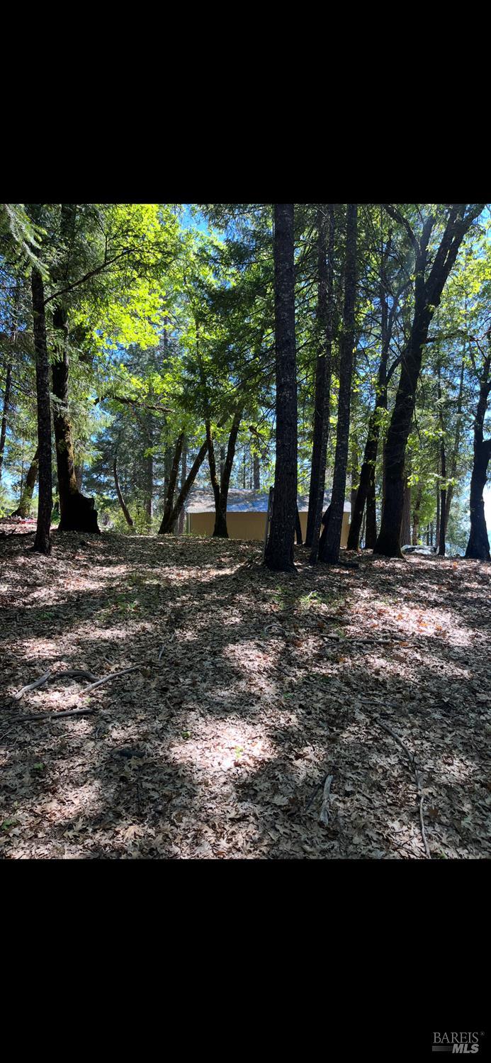 Detail Gallery Image 16 of 19 For 34290 Mendocino Pass Rd, Covelo,  CA 95428 - – Beds | – Baths