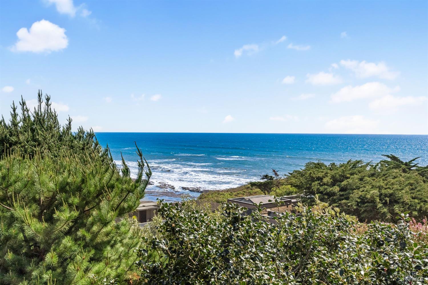 Detail Gallery Image 53 of 73 For 165 Rosewood Rd, Bolinas,  CA 94924 - 2 Beds | 2/1 Baths