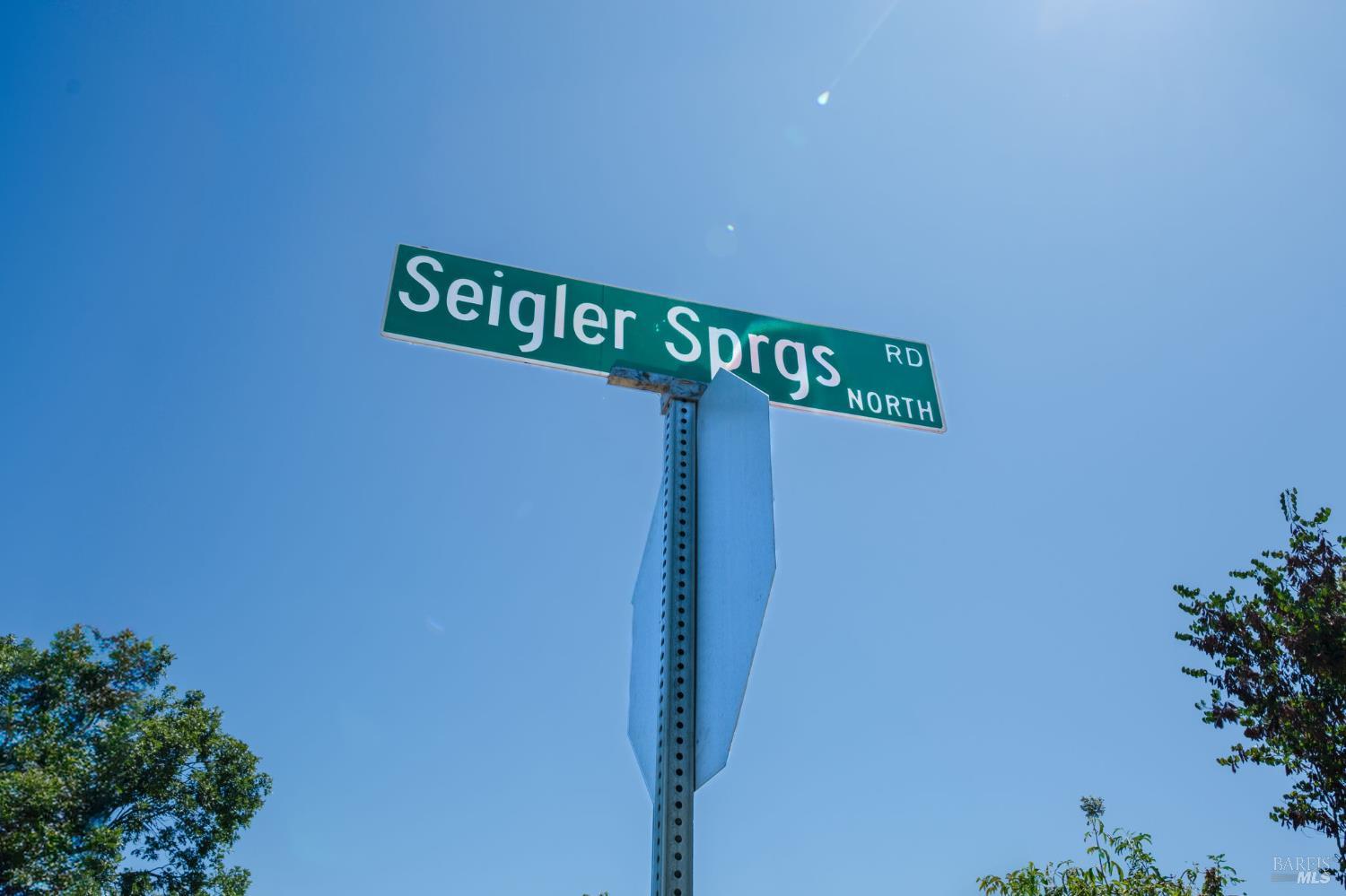 Seigler Springs North Road, Kelseyville, California image 45
