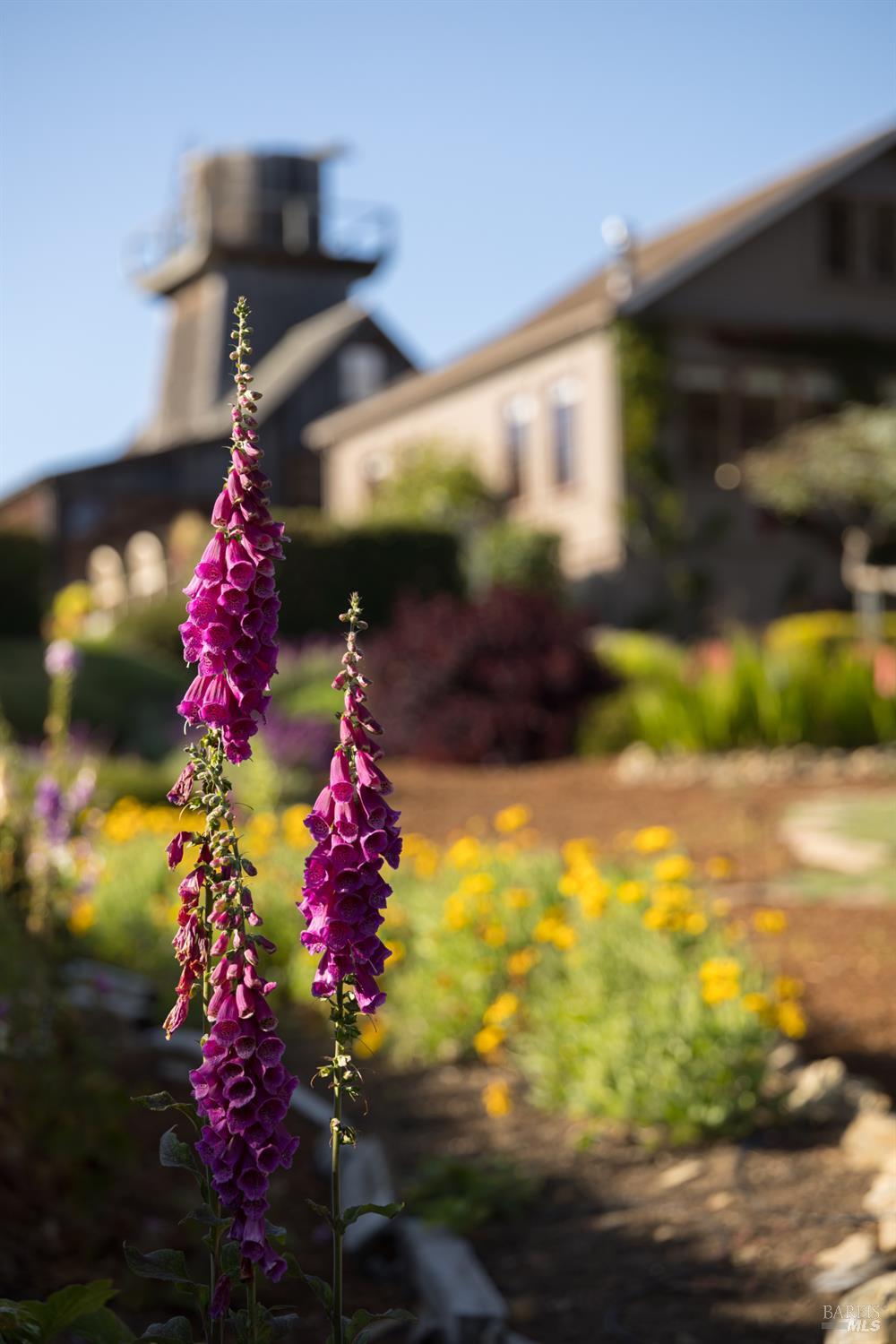 Detail Gallery Image 39 of 60 For 45320 Ukiah St, Mendocino,  CA 95460 - 3 Beds | 2/1 Baths