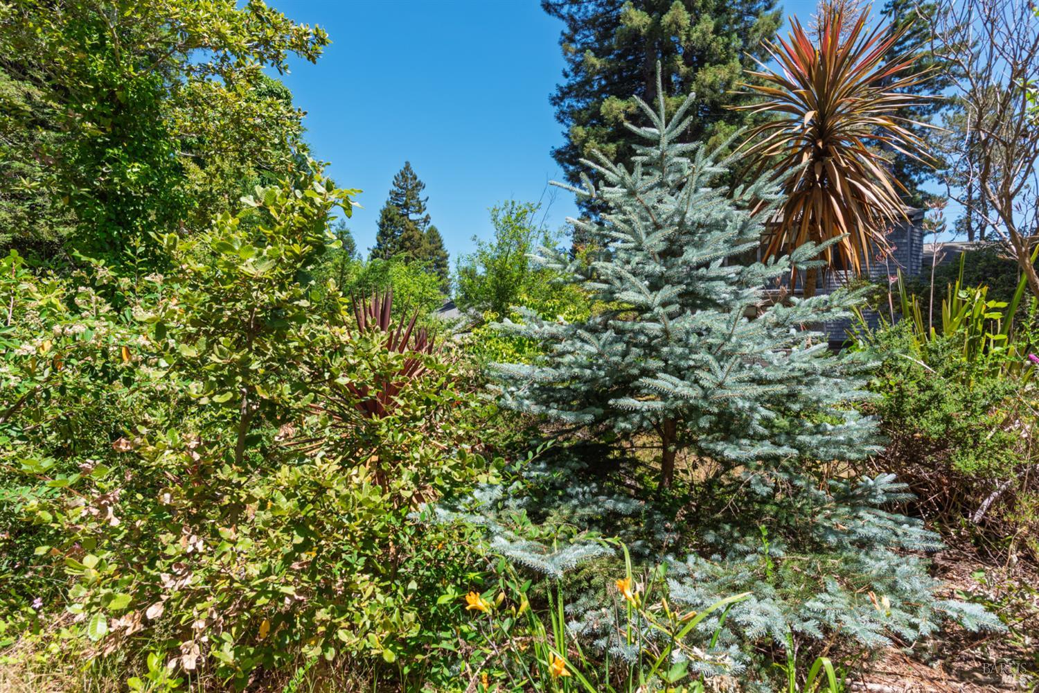 Detail Gallery Image 33 of 37 For 37820 Old Stage Rd, Gualala,  CA 95445 - 2 Beds | 2 Baths
