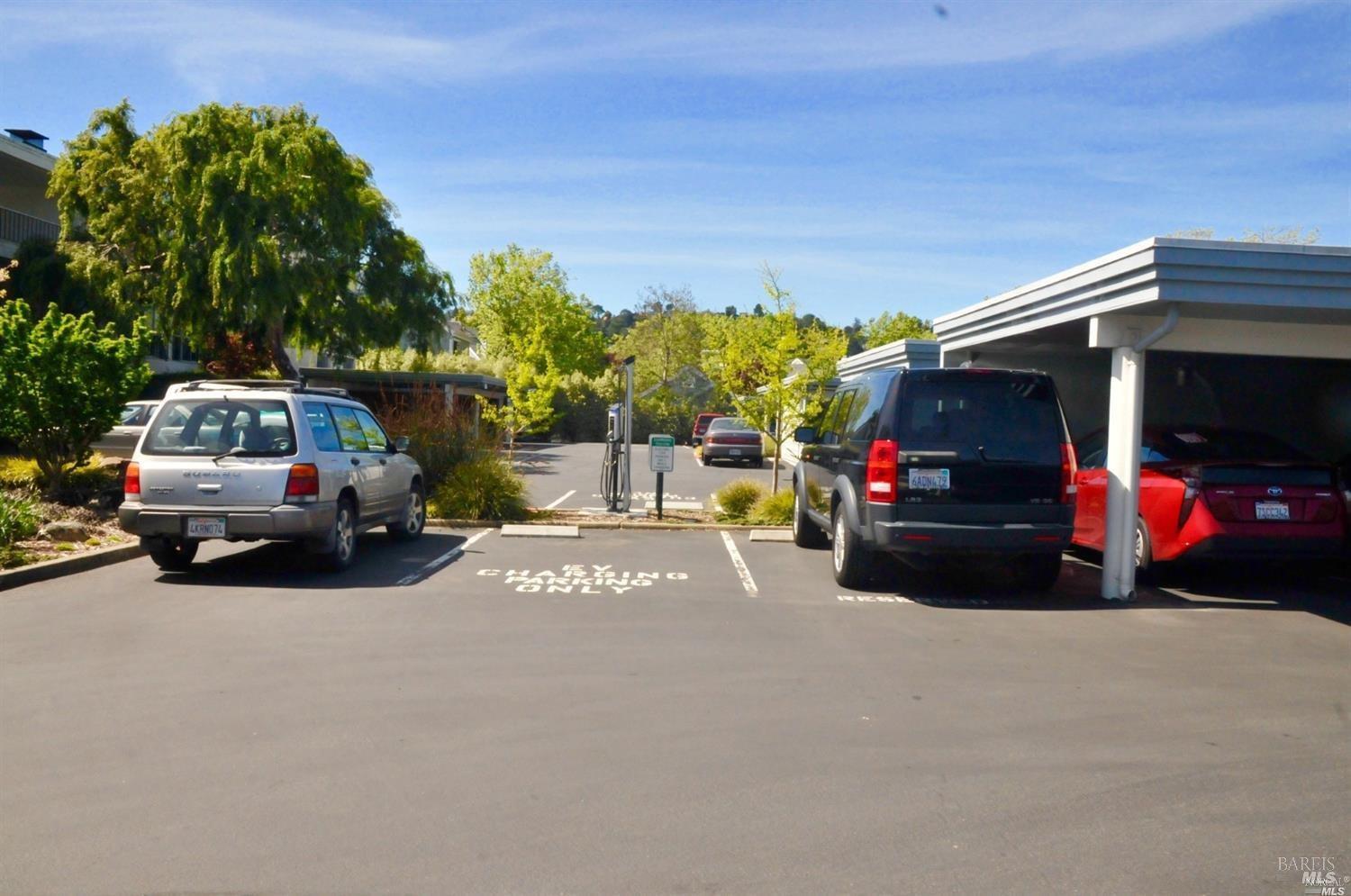 Detail Gallery Image 17 of 20 For 4331 Shelter Bay Ave, Mill Valley,  CA 94941 - 2 Beds | 2 Baths