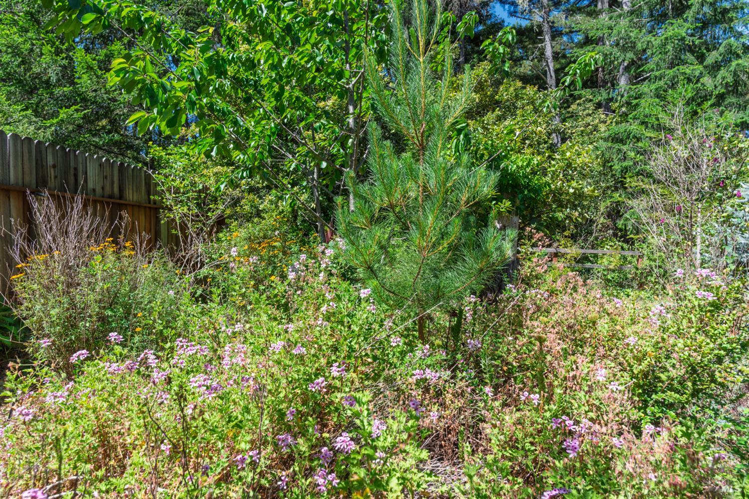 Detail Gallery Image 32 of 37 For 37820 Old Stage Rd, Gualala,  CA 95445 - 2 Beds | 2 Baths