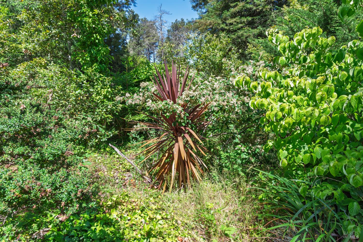 Detail Gallery Image 34 of 37 For 37820 Old Stage Rd, Gualala,  CA 95445 - 2 Beds | 2 Baths