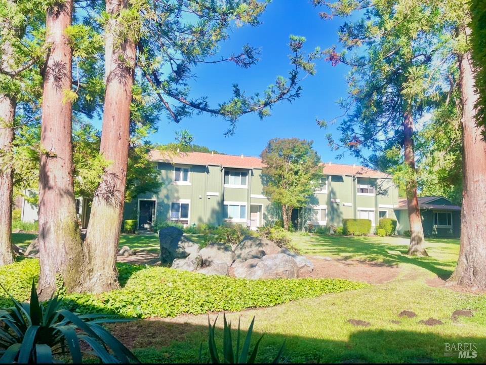 Detail Gallery Image 2 of 7 For 39 Oliva Dr #D,  Novato,  CA 94947 - 3 Beds | 1/1 Baths
