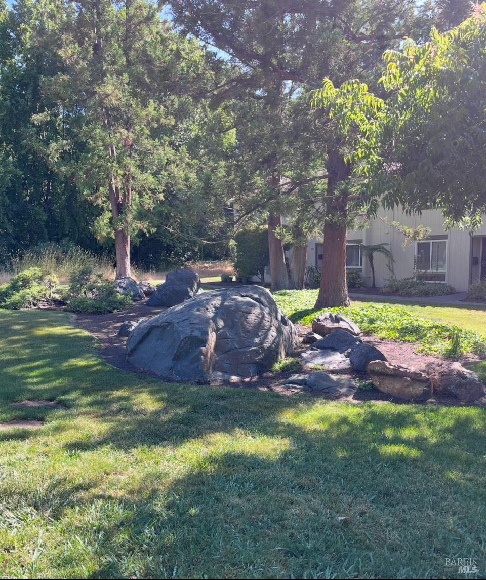 Detail Gallery Image 4 of 7 For 39 Oliva Dr #D,  Novato,  CA 94947 - 3 Beds | 1/1 Baths