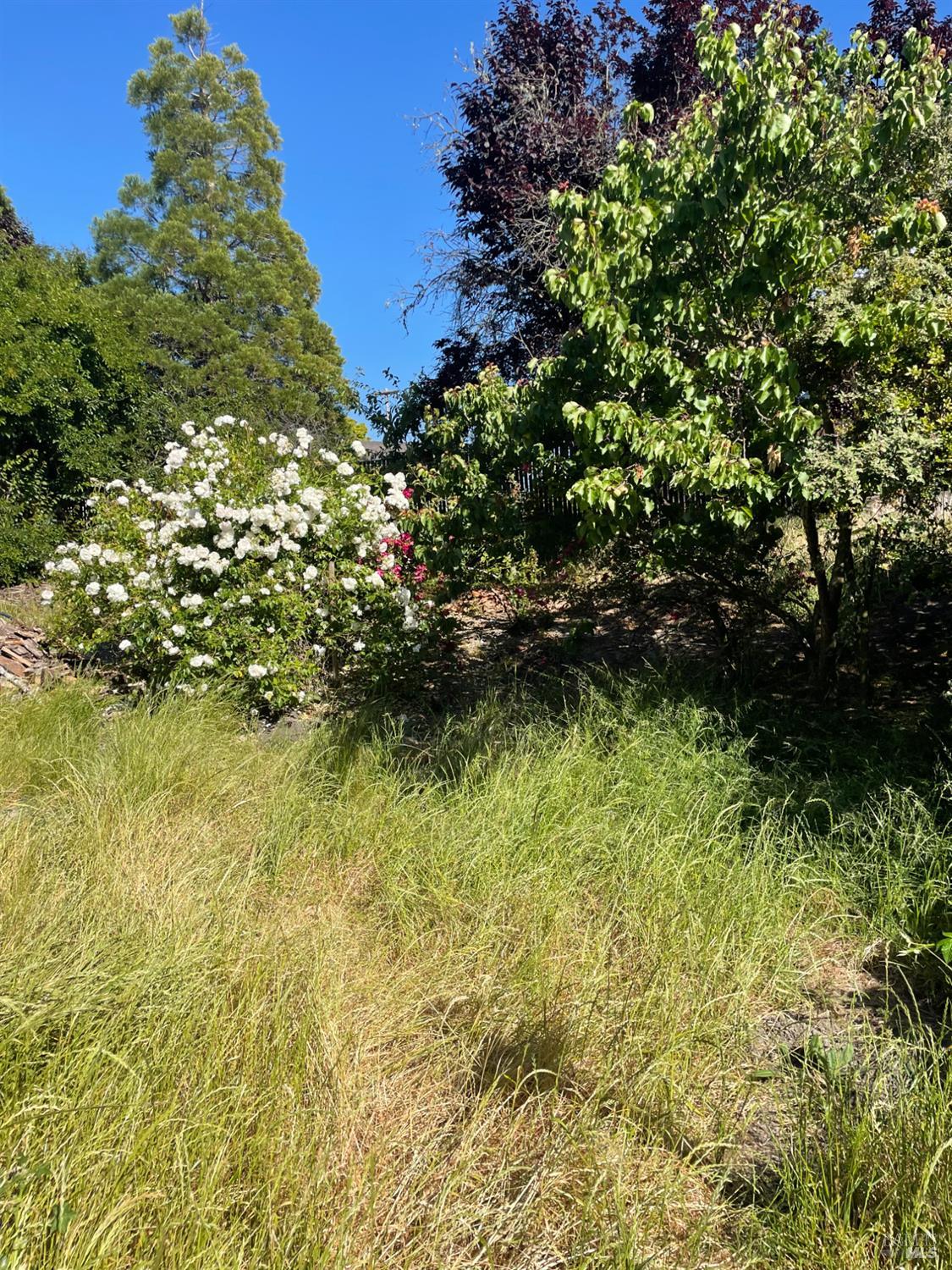 Detail Gallery Image 11 of 12 For 4940 Hilltop Dr, El Sobrante,  CA 94803 - 3 Beds | 2 Baths