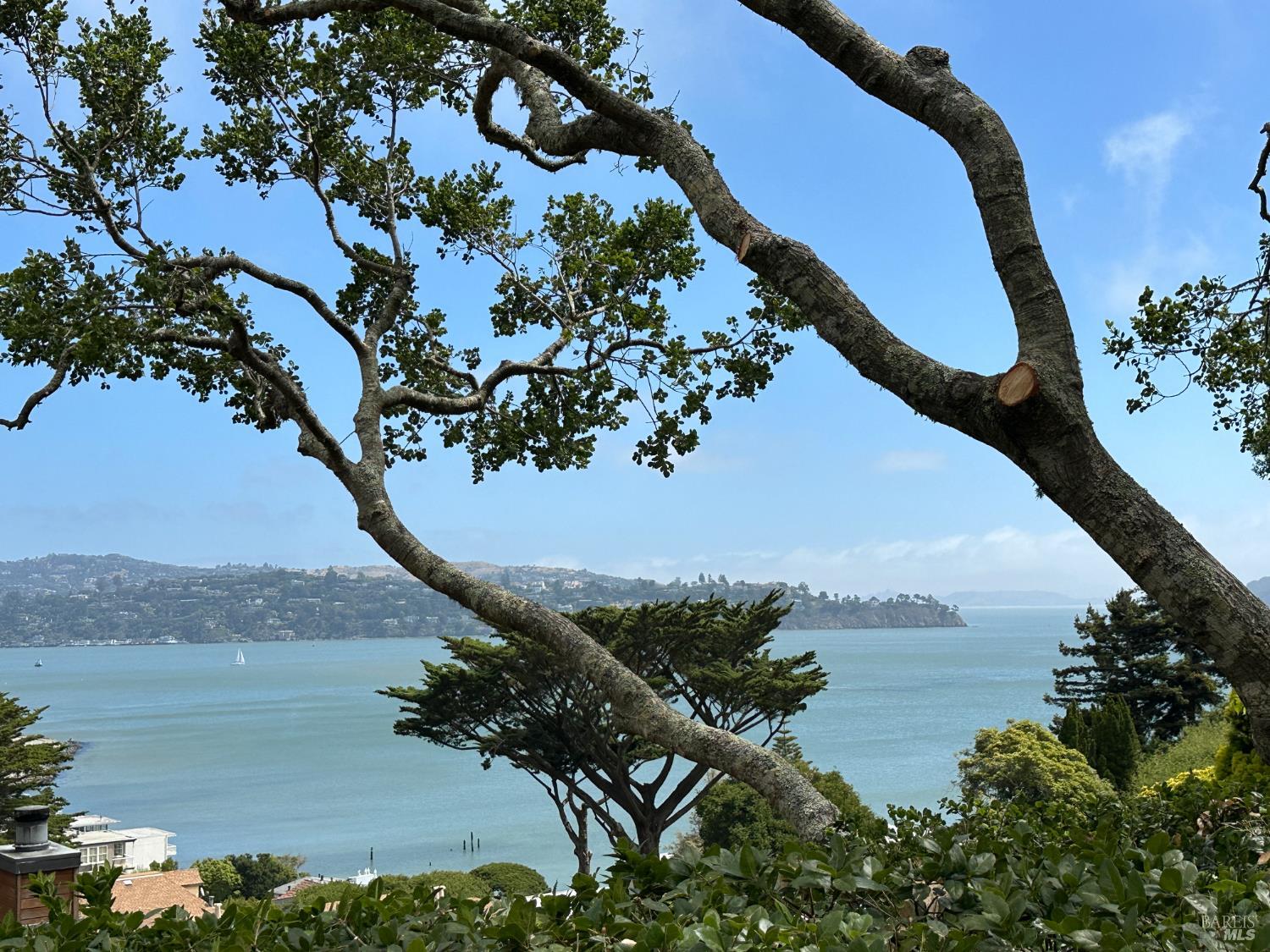 Detail Gallery Image 8 of 39 For 122 Edwards Ave, Sausalito,  CA 94965 - 3 Beds | 2/1 Baths
