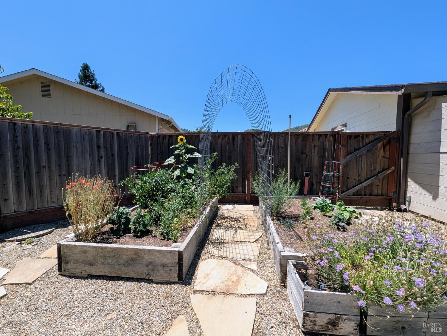 Cabernet Place, Ukiah, California image 20