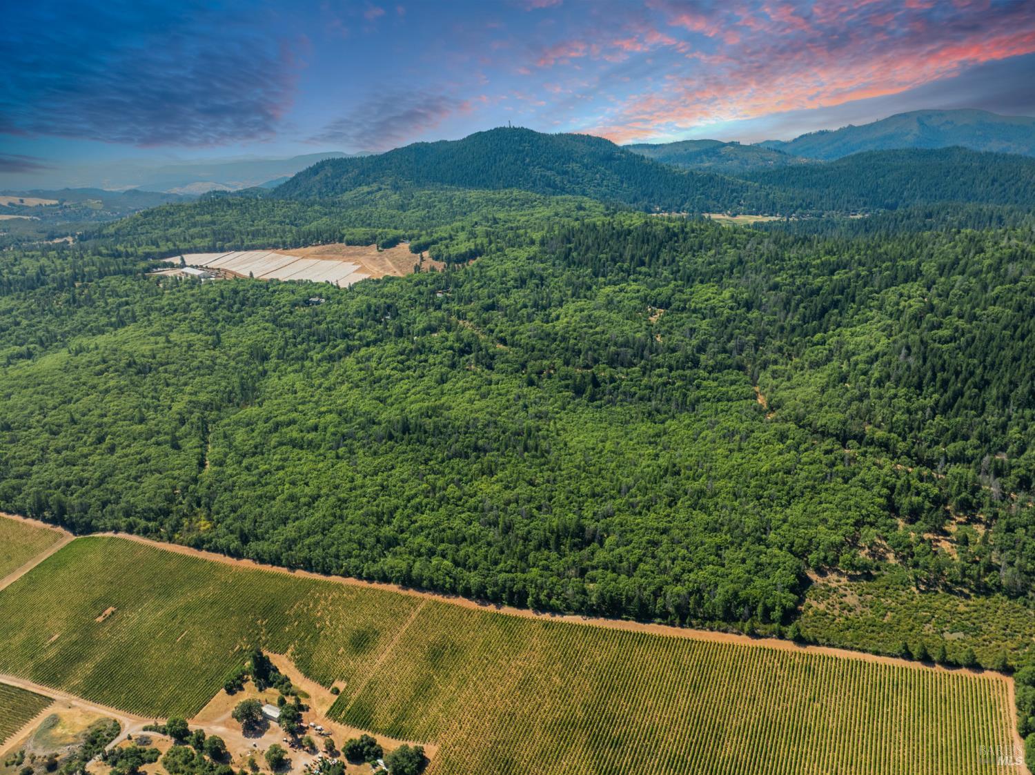 Seigler Springs North Road, Kelseyville, California image 3