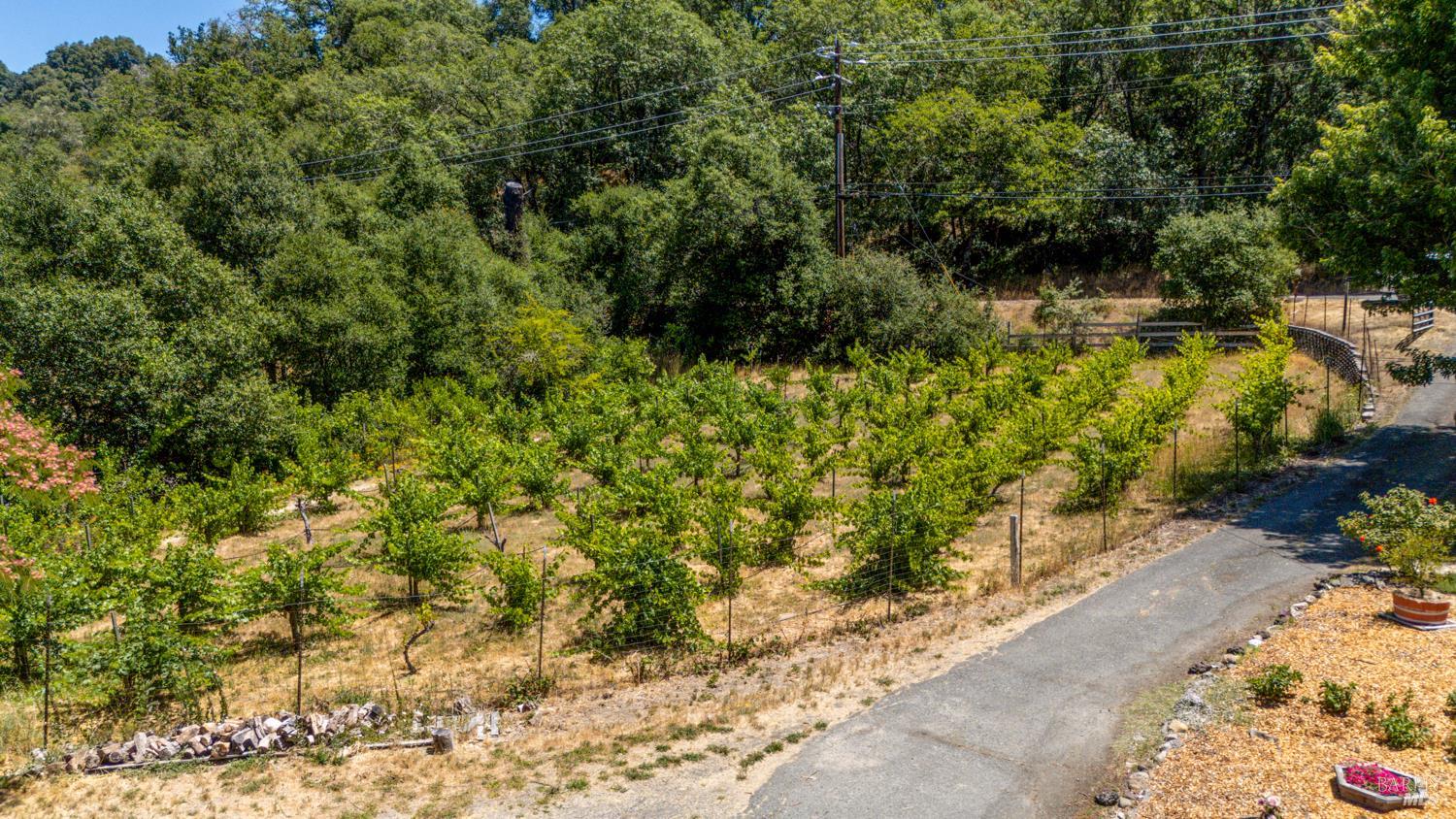 Detail Gallery Image 28 of 34 For 5510 Eastside Calpella Rd, Ukiah,  CA 95482 - 2 Beds | 2 Baths