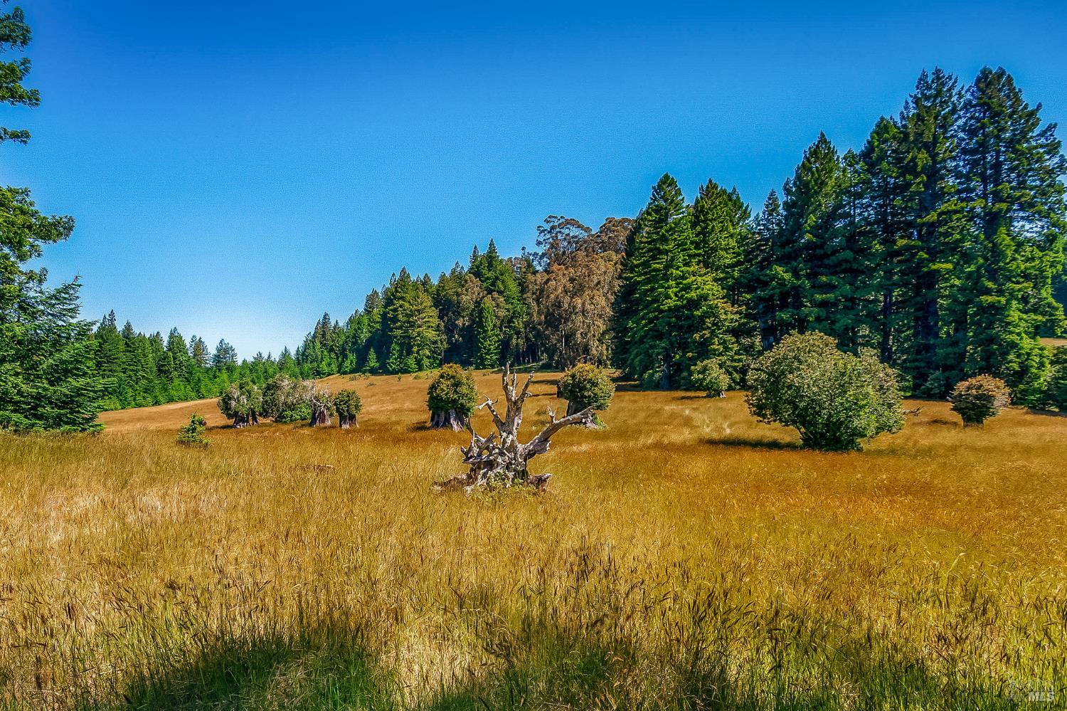 Detail Gallery Image 15 of 39 For 2401 S Highway 1 Unkn, Elk,  CA 95432 - – Beds | – Baths