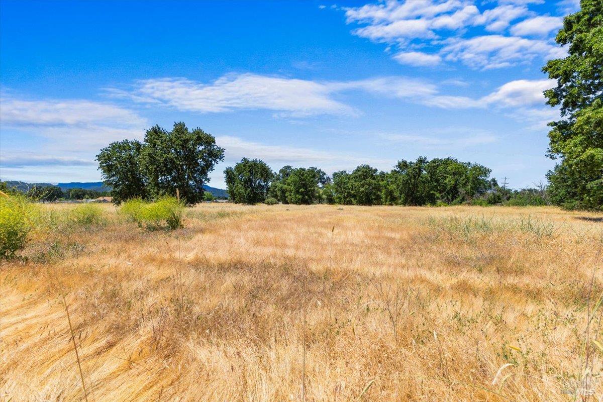 Detail Gallery Image 8 of 15 For 14775 Burns Valley Rd, Clearlake,  CA 95422 - – Beds | – Baths