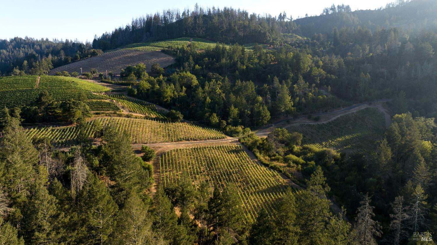 Detail Gallery Image 77 of 89 For 3000 Mount Veeder Rd, Napa,  CA 94558 - 8 Beds | 7/2 Baths