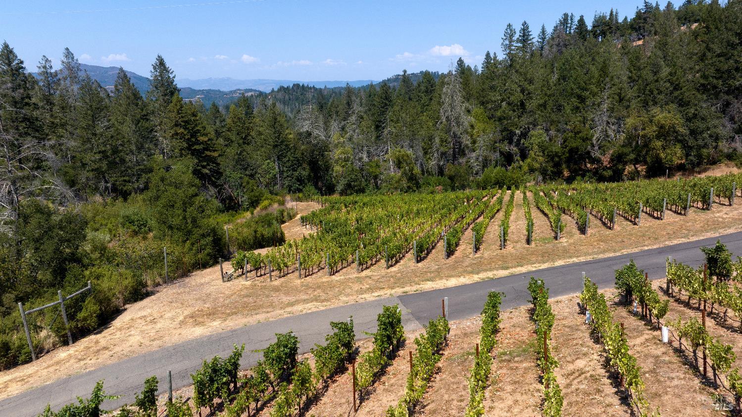 Detail Gallery Image 73 of 89 For 3000 Mount Veeder Rd, Napa,  CA 94558 - 8 Beds | 7/2 Baths