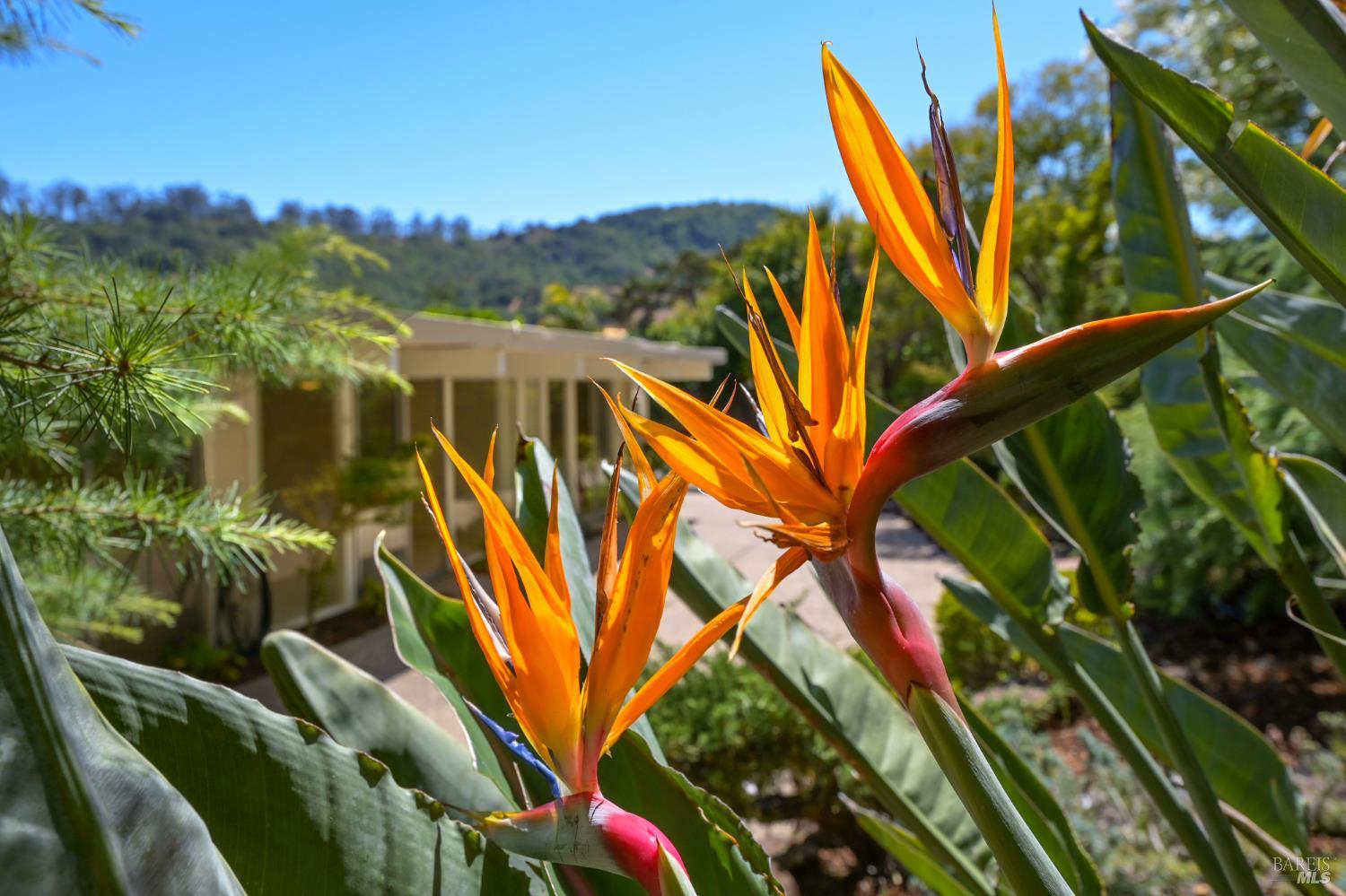 Detail Gallery Image 26 of 38 For 15 Don Timoteo Ct, San Rafael,  CA 94903 - 4 Beds | 2 Baths