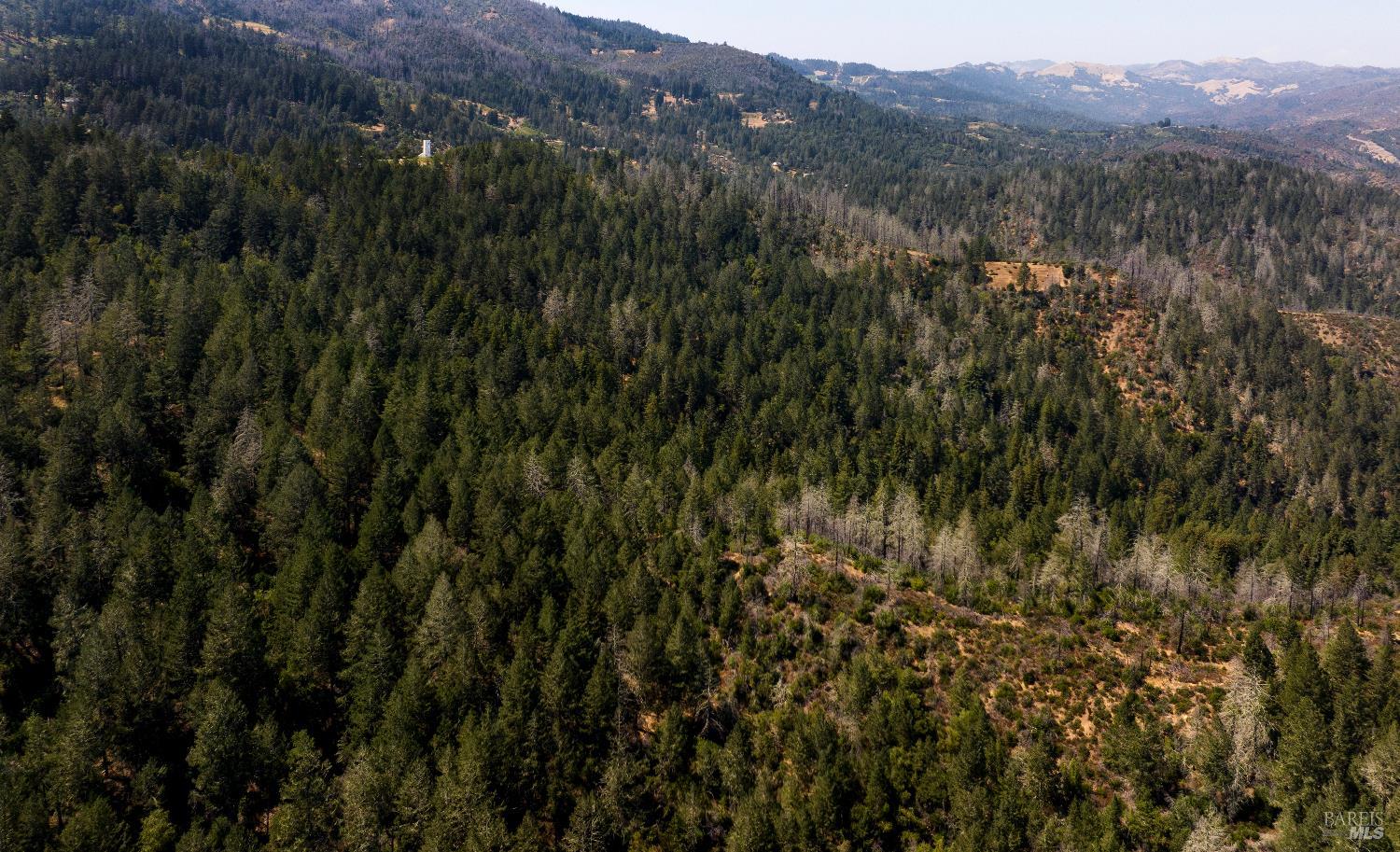 Detail Gallery Image 76 of 89 For 3000 Mount Veeder Rd, Napa,  CA 94558 - 8 Beds | 7/2 Baths