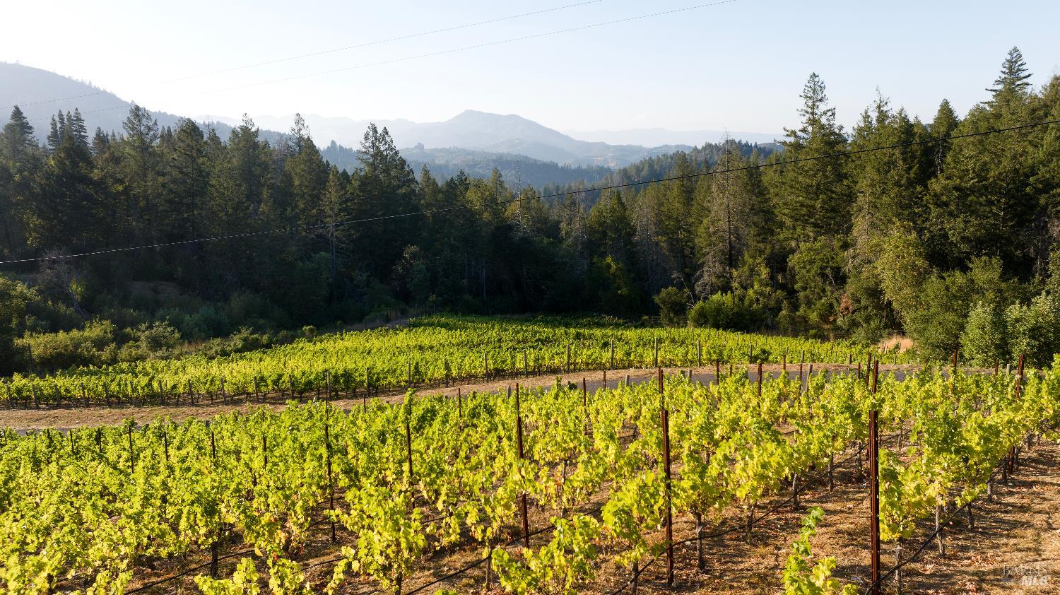 Detail Gallery Image 72 of 89 For 3000 Mount Veeder Rd, Napa,  CA 94558 - 8 Beds | 7/2 Baths