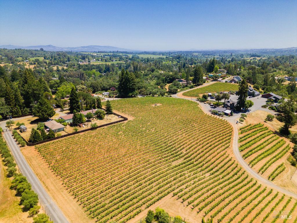 Detail Gallery Image 67 of 71 For 7750 Giusti Rd, Forestville,  CA 95436 - – Beds | – Baths