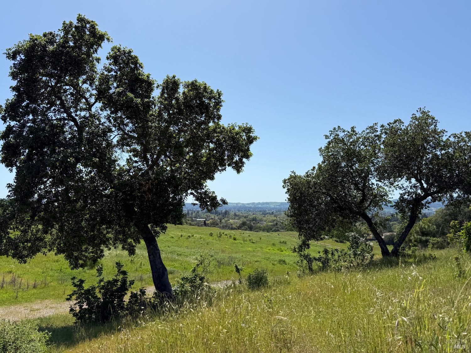Detail Gallery Image 6 of 37 For 2186 Monticello Rd, Napa,  CA 94558 - – Beds | – Baths