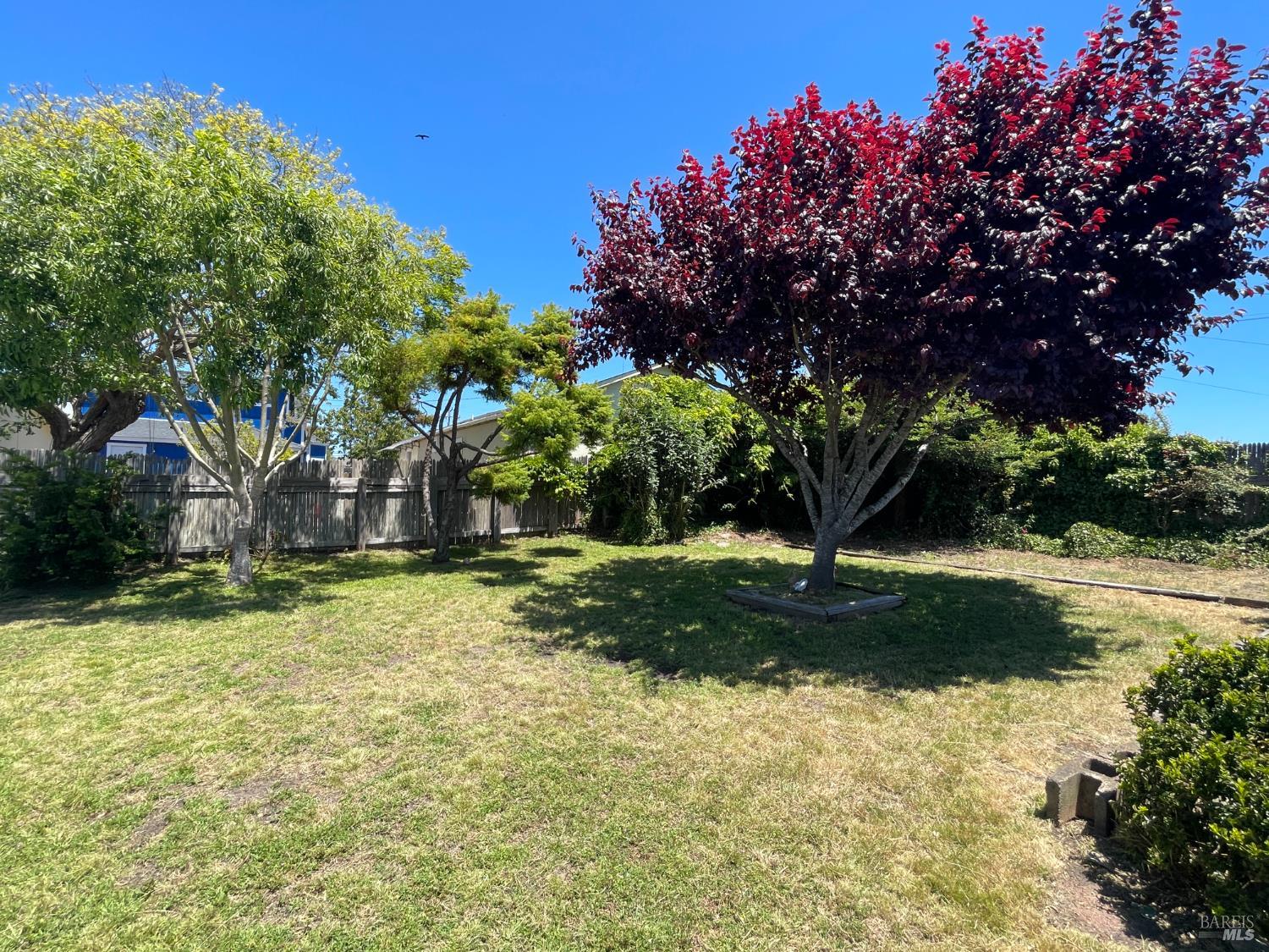 Detail Gallery Image 4 of 35 For 148 Olsen Ln, Fort Bragg,  CA 95437 - 3 Beds | 1 Baths