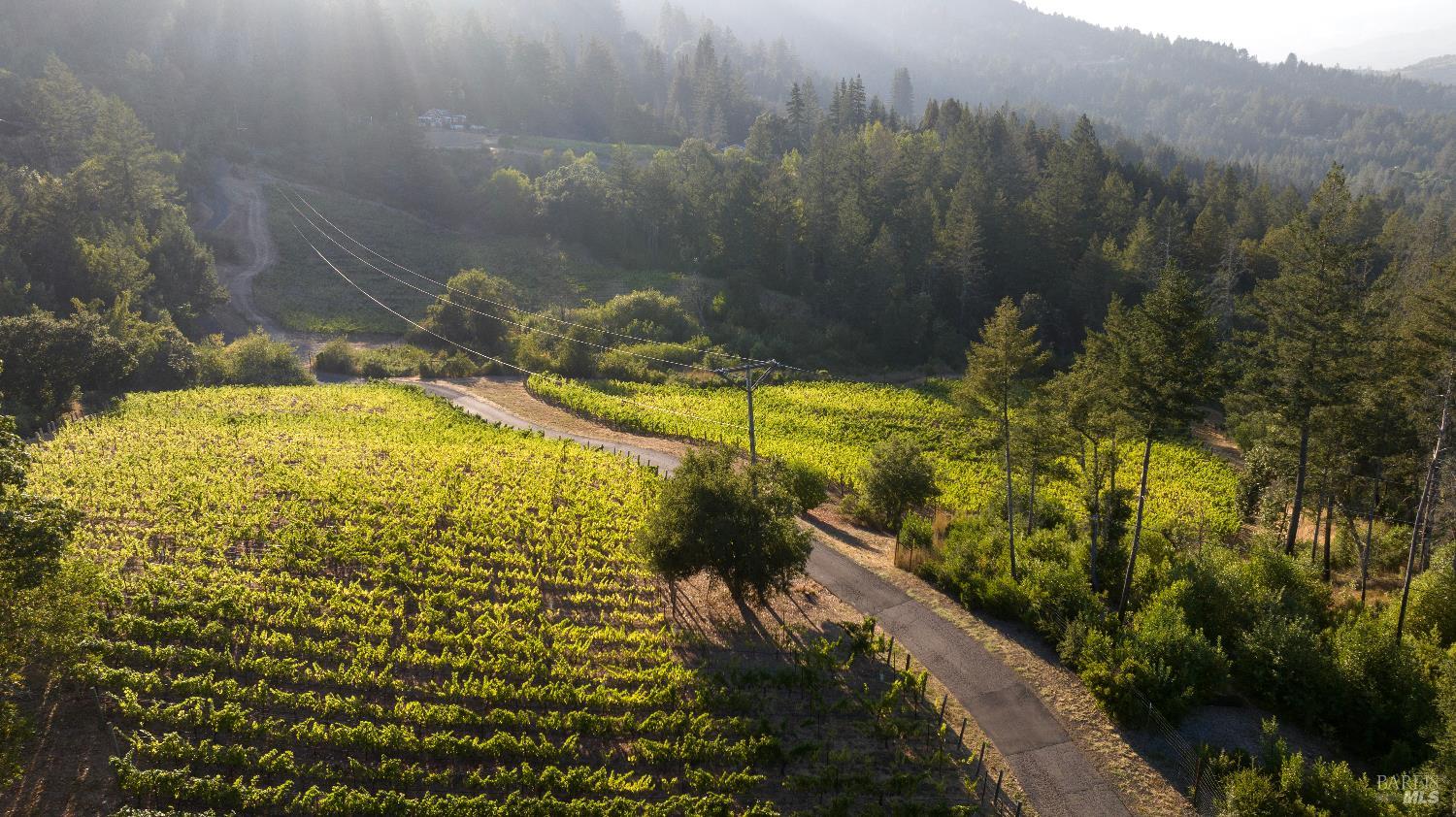 Detail Gallery Image 78 of 89 For 3000 Mount Veeder Rd, Napa,  CA 94558 - 8 Beds | 7/2 Baths