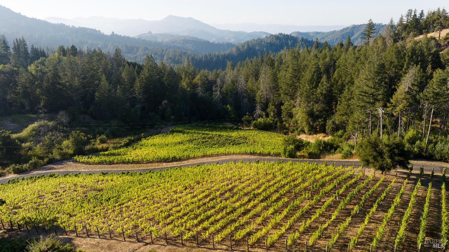 Detail Gallery Image 71 of 89 For 3000 Mount Veeder Rd, Napa,  CA 94558 - 8 Beds | 7/2 Baths