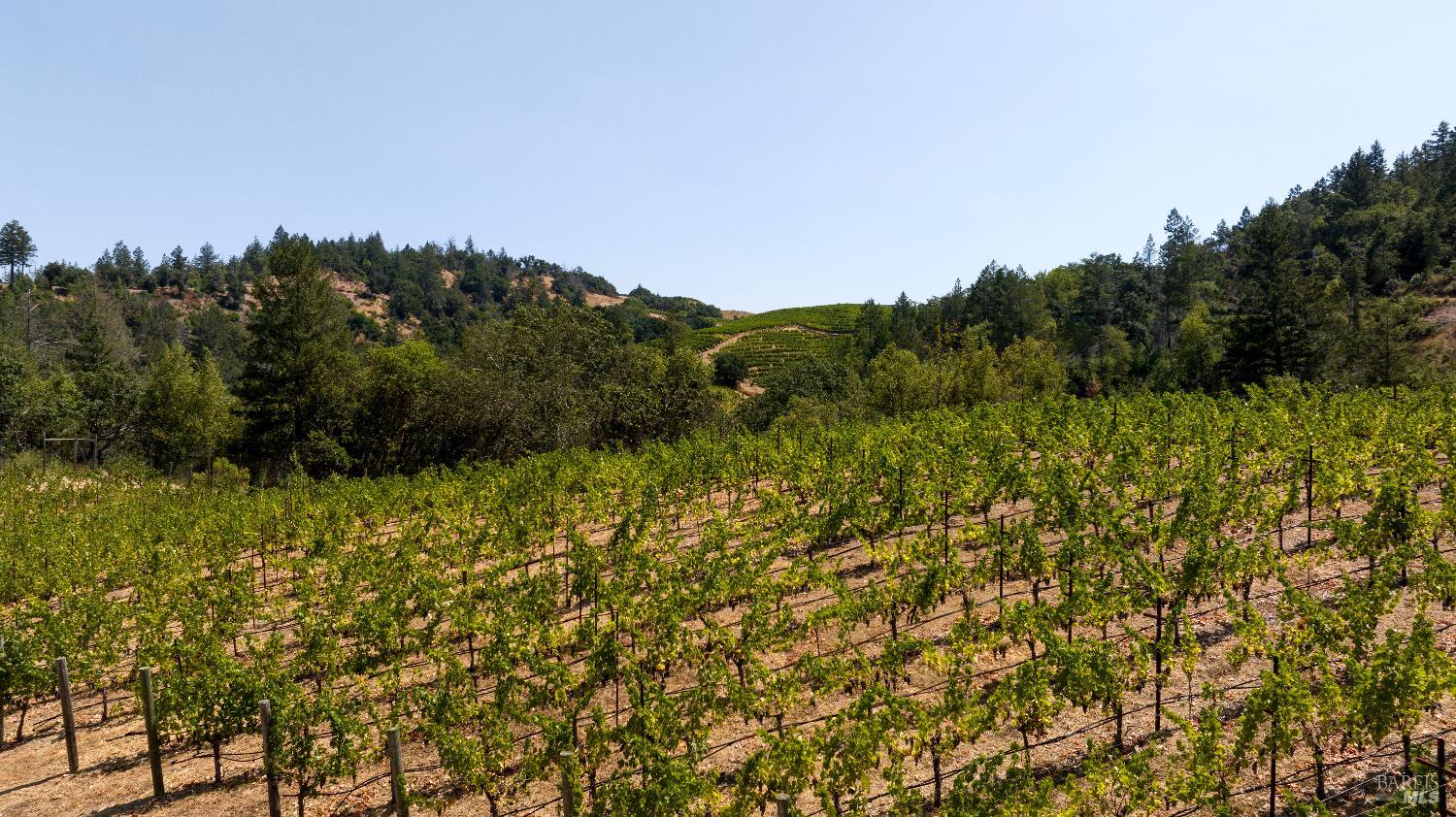 Detail Gallery Image 70 of 89 For 3000 Mount Veeder Rd, Napa,  CA 94558 - 8 Beds | 7/2 Baths