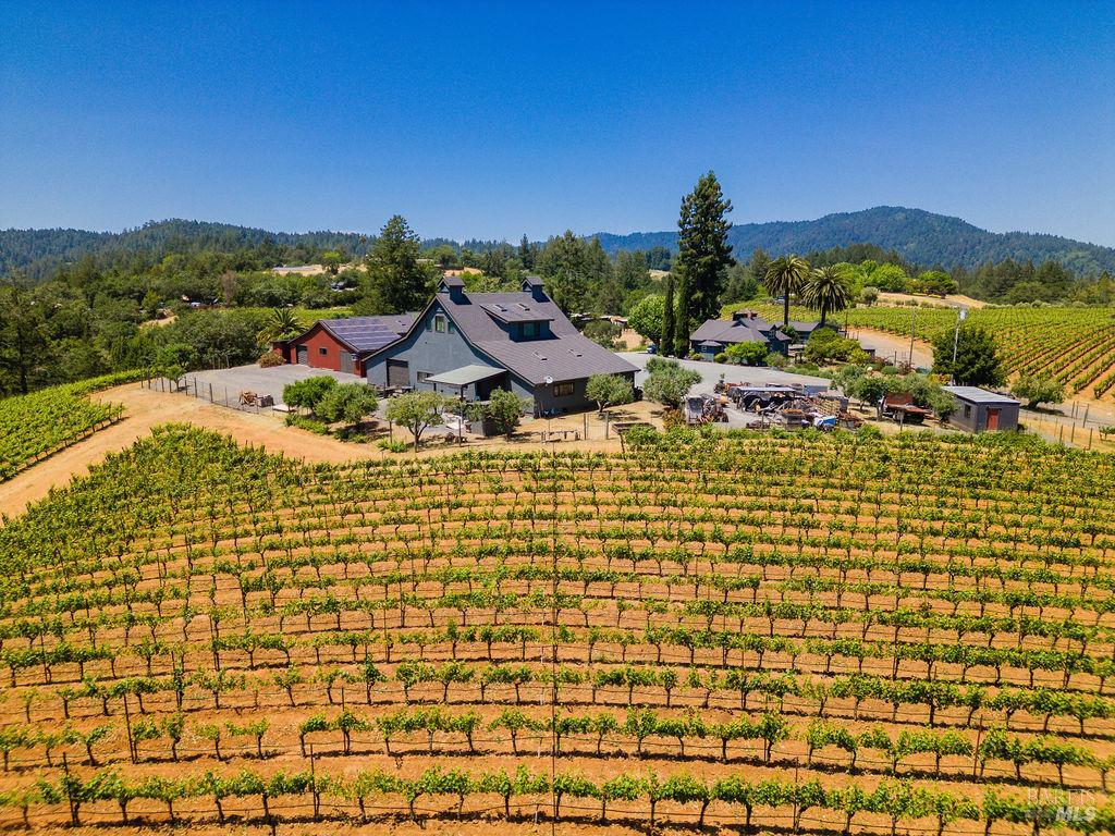 Detail Gallery Image 60 of 71 For 7750 Giusti Rd, Forestville,  CA 95436 - – Beds | – Baths