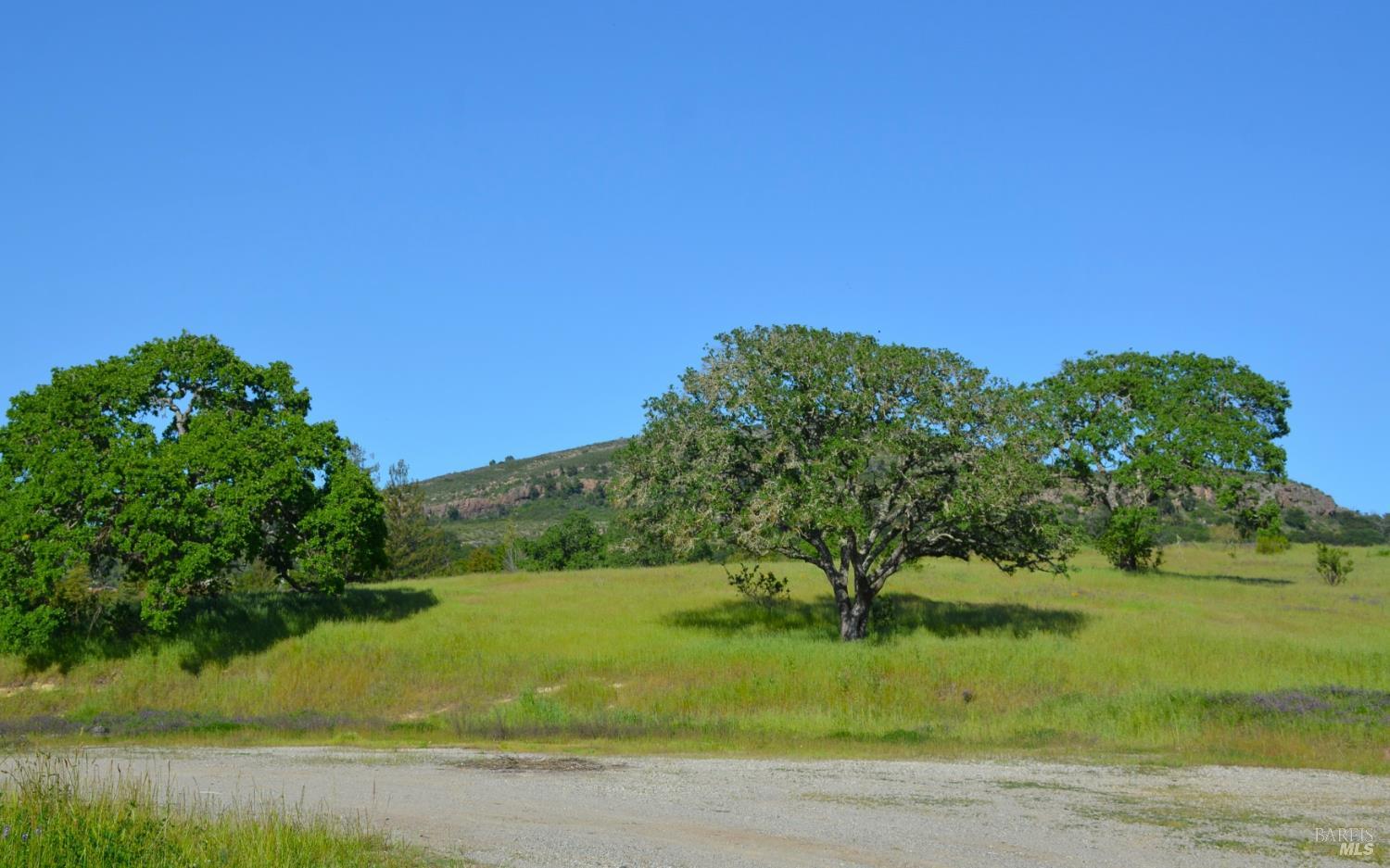 Detail Gallery Image 4 of 37 For 2186 Monticello Rd, Napa,  CA 94558 - – Beds | – Baths