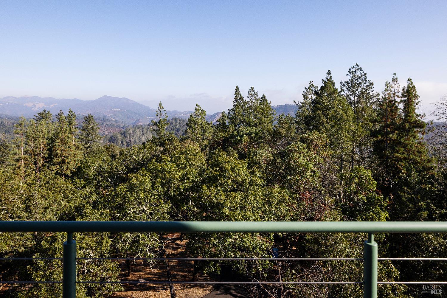 Detail Gallery Image 65 of 89 For 3000 Mount Veeder Rd, Napa,  CA 94558 - 8 Beds | 7/2 Baths