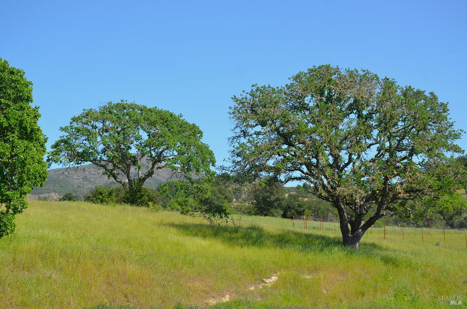 Detail Gallery Image 2 of 37 For 2186 Monticello Rd, Napa,  CA 94558 - – Beds | – Baths