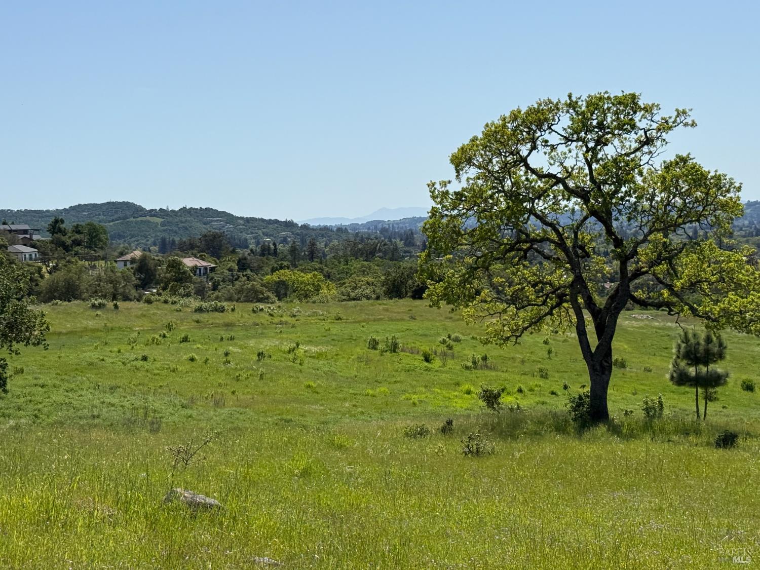 Detail Gallery Image 5 of 37 For 2186 Monticello Rd, Napa,  CA 94558 - – Beds | – Baths