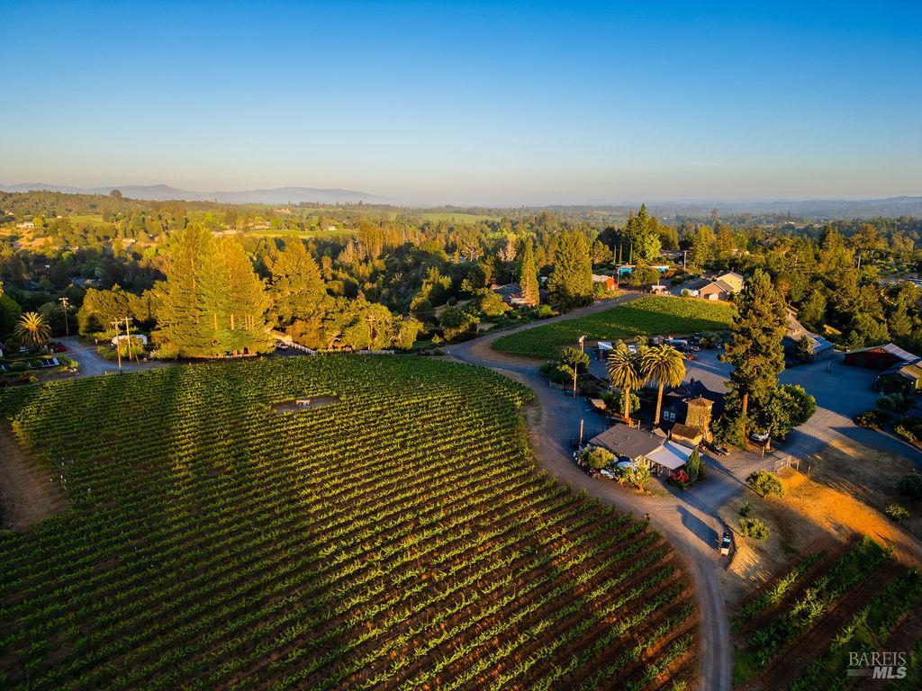 Detail Gallery Image 69 of 71 For 7750 Giusti Rd, Forestville,  CA 95436 - – Beds | – Baths