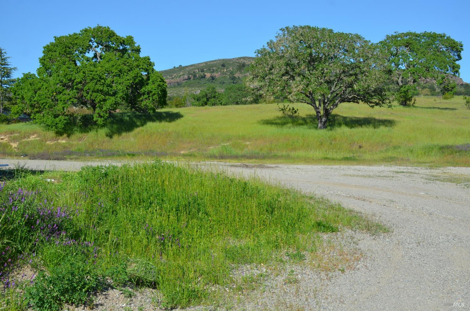 Detail Gallery Image 3 of 37 For 2186 Monticello Rd, Napa,  CA 94558 - – Beds | – Baths