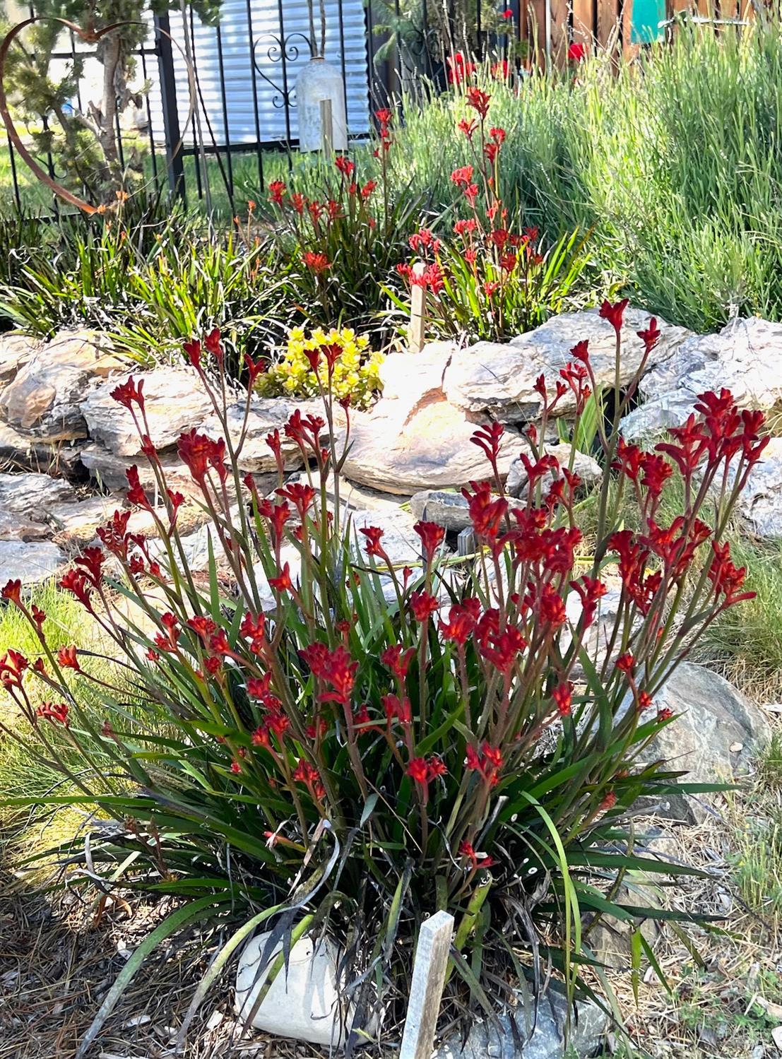Detail Gallery Image 30 of 41 For 46570 Iversen Rd, Gualala,  CA 95445 - 3 Beds | 2 Baths