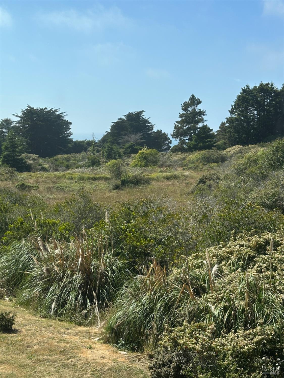Detail Gallery Image 46 of 48 For 44808 Cypress Ct, Mendocino,  CA 95460 - 2 Beds | 2 Baths