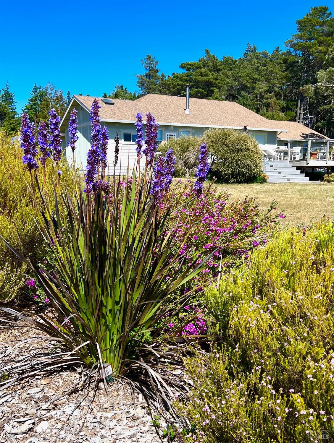 Detail Gallery Image 29 of 41 For 46570 Iversen Rd, Gualala,  CA 95445 - 3 Beds | 2 Baths