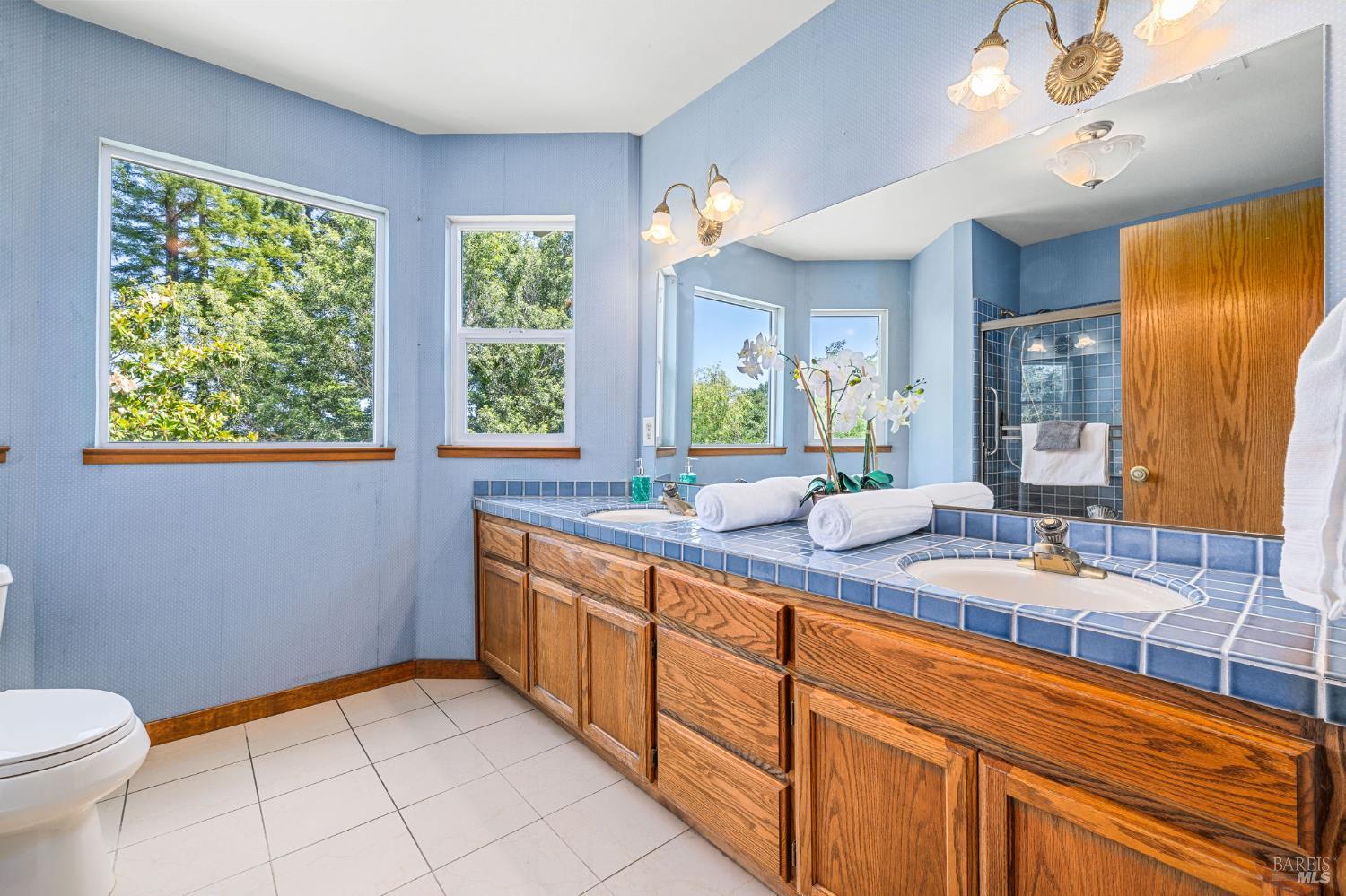 Detail Gallery Image 36 of 78 For 9705 Oconnell Rd, Sebastopol,  CA 95472 - 3 Beds | 2/1 Baths