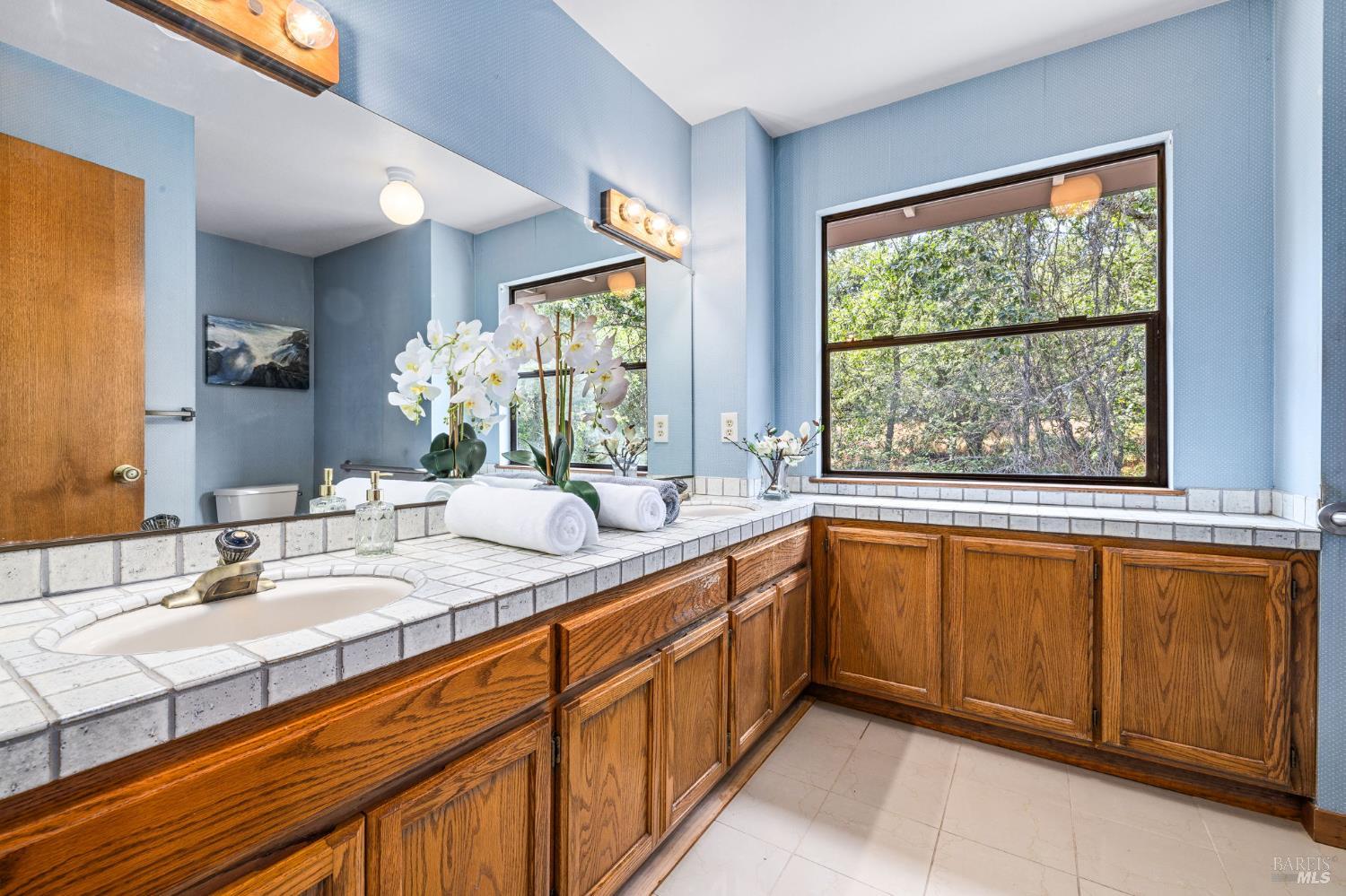 Detail Gallery Image 37 of 78 For 9705 Oconnell Rd, Sebastopol,  CA 95472 - 3 Beds | 2/1 Baths